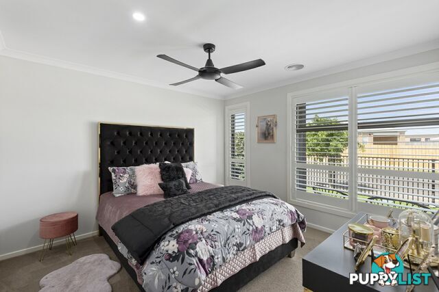 5 Felix Street ST LEONARDS VIC 3223