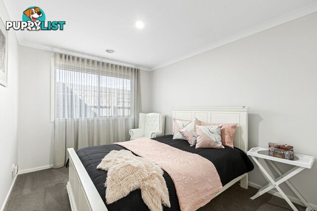 5 Felix Street ST LEONARDS VIC 3223