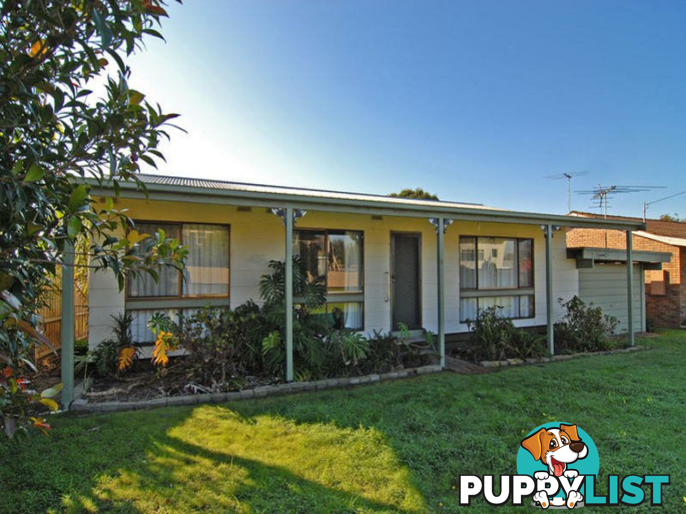 19 Walpole Avenue INDENTED HEAD VIC 3223