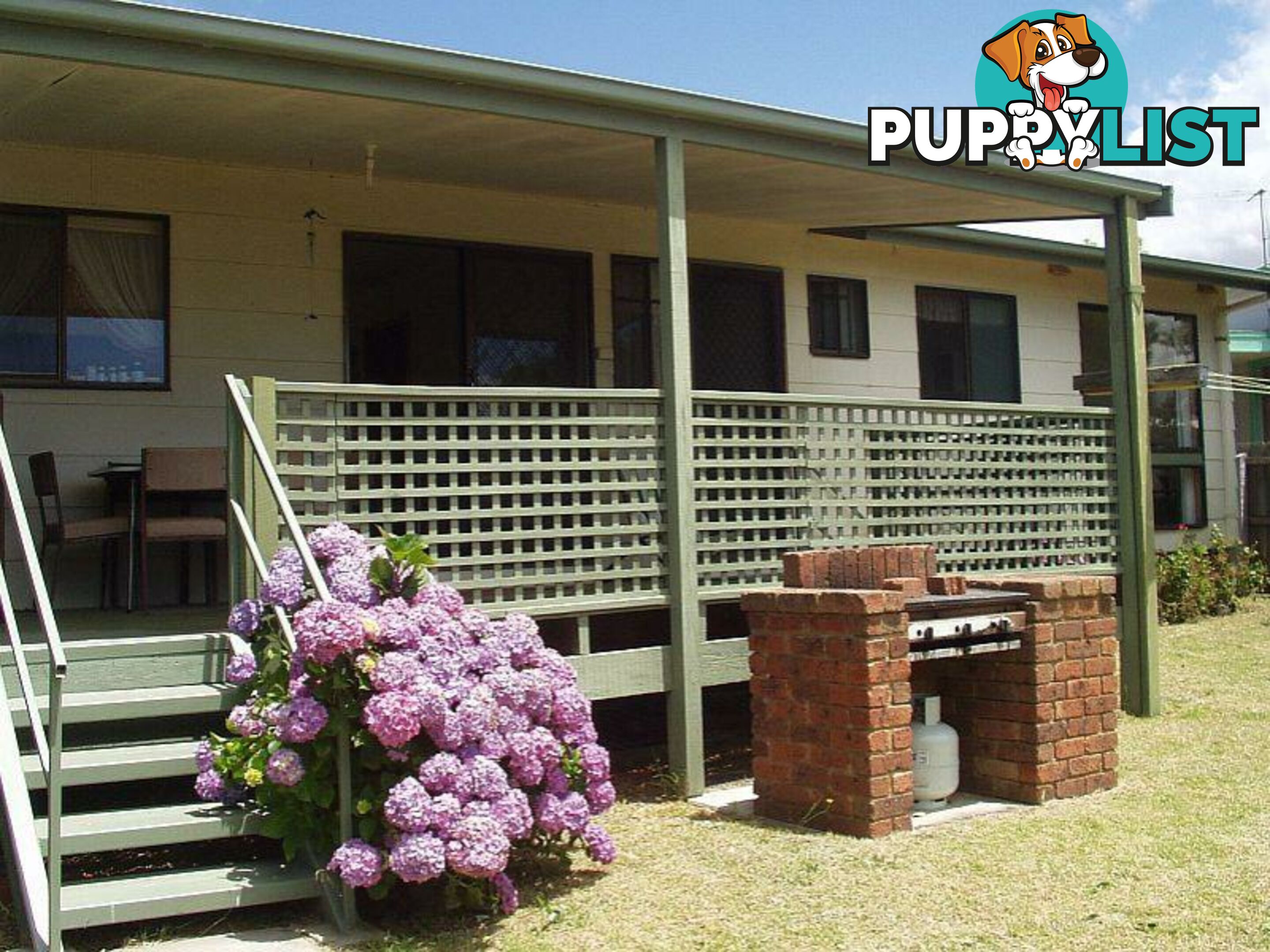 19 Walpole Avenue INDENTED HEAD VIC 3223