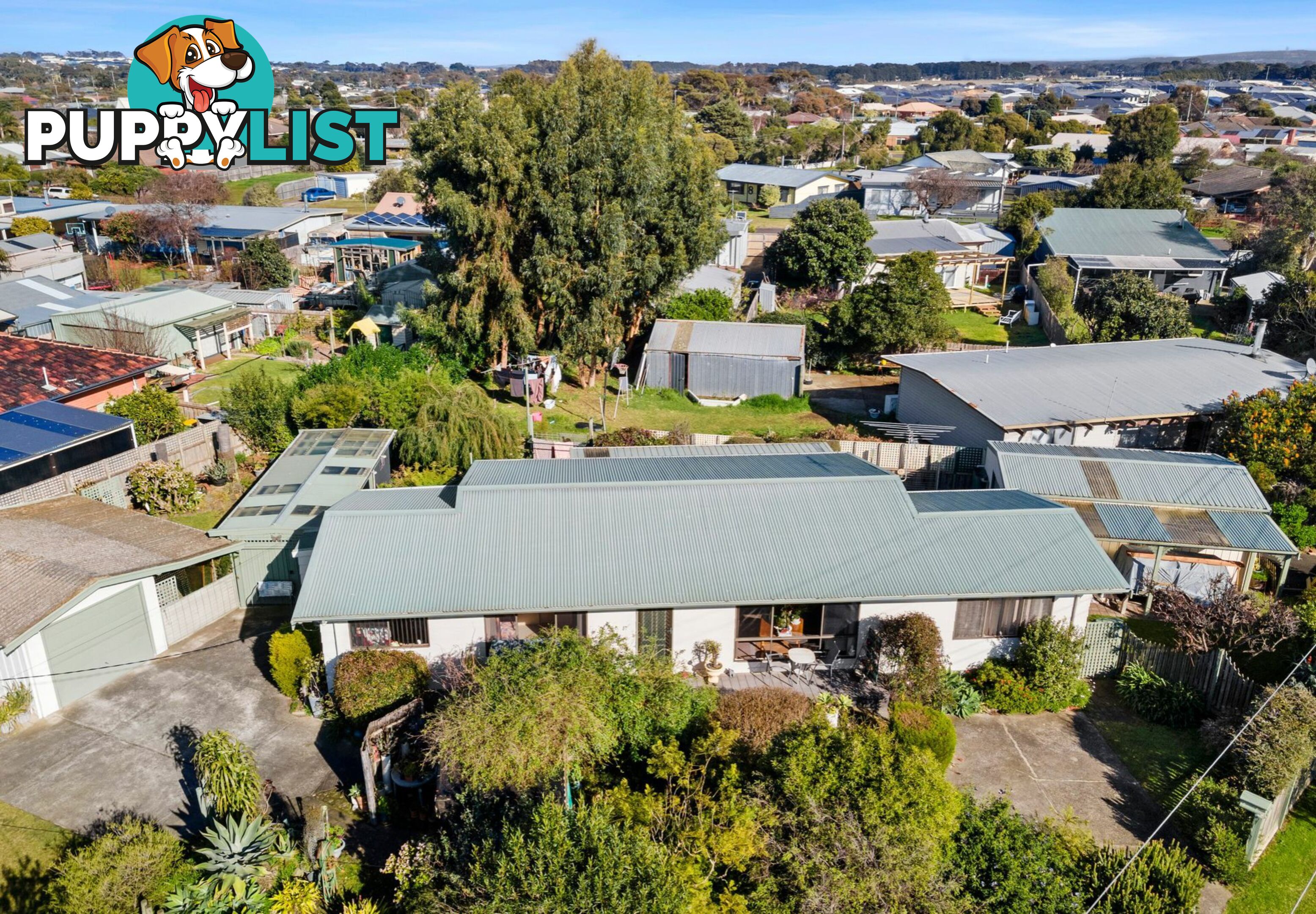 24 Doongara Avenue ST LEONARDS VIC 3223