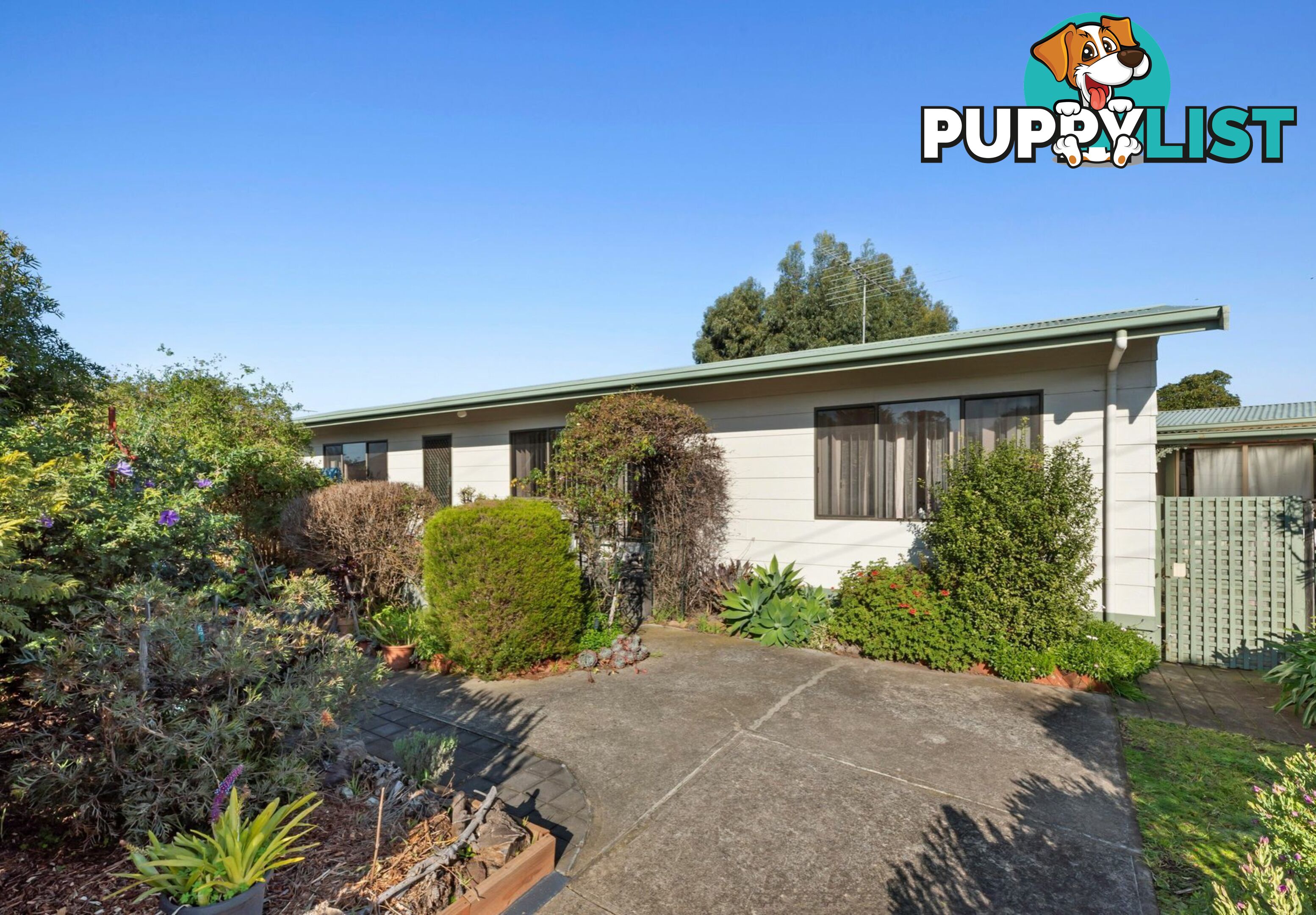 24 Doongara Avenue ST LEONARDS VIC 3223