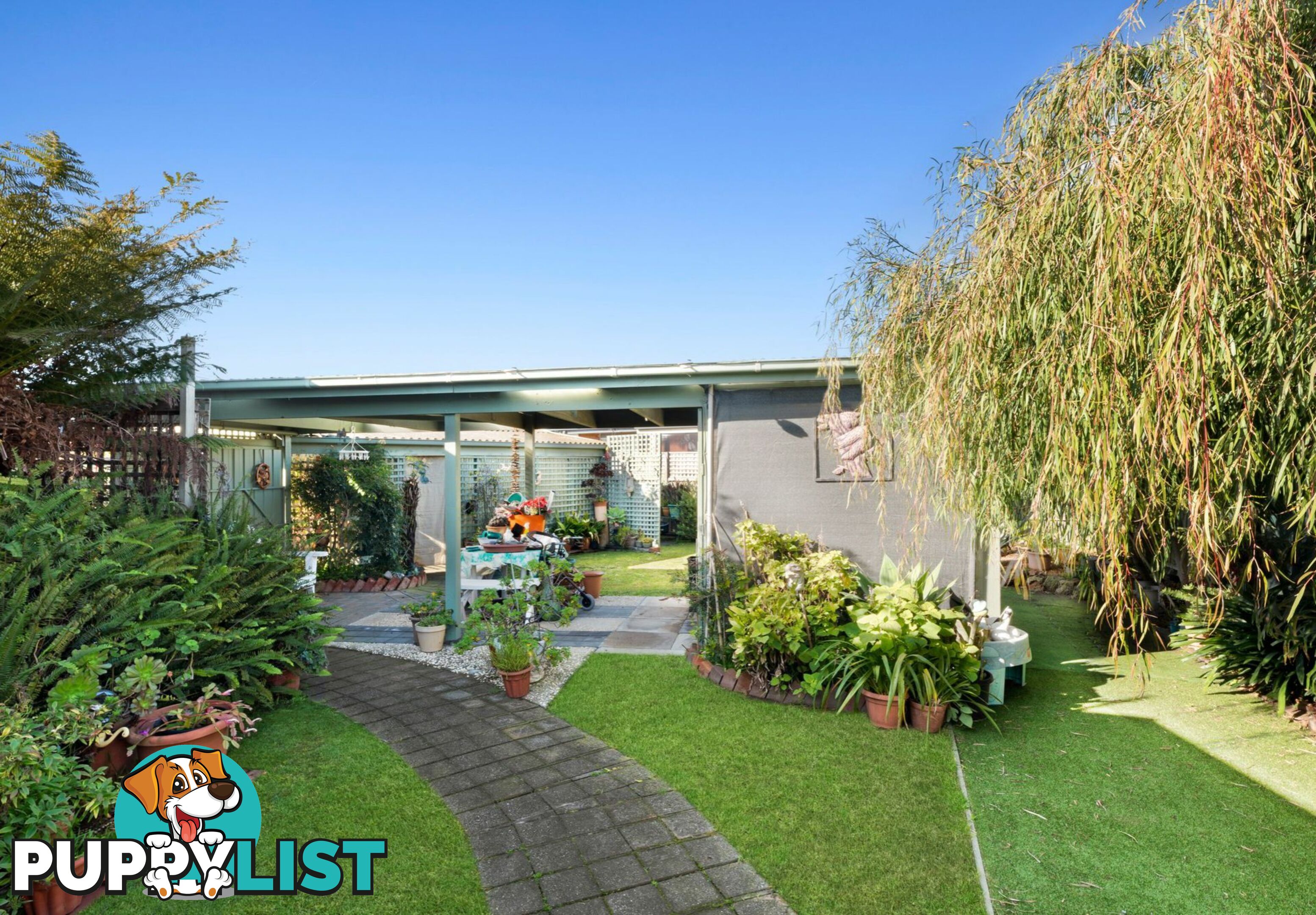 24 Doongara Avenue ST LEONARDS VIC 3223