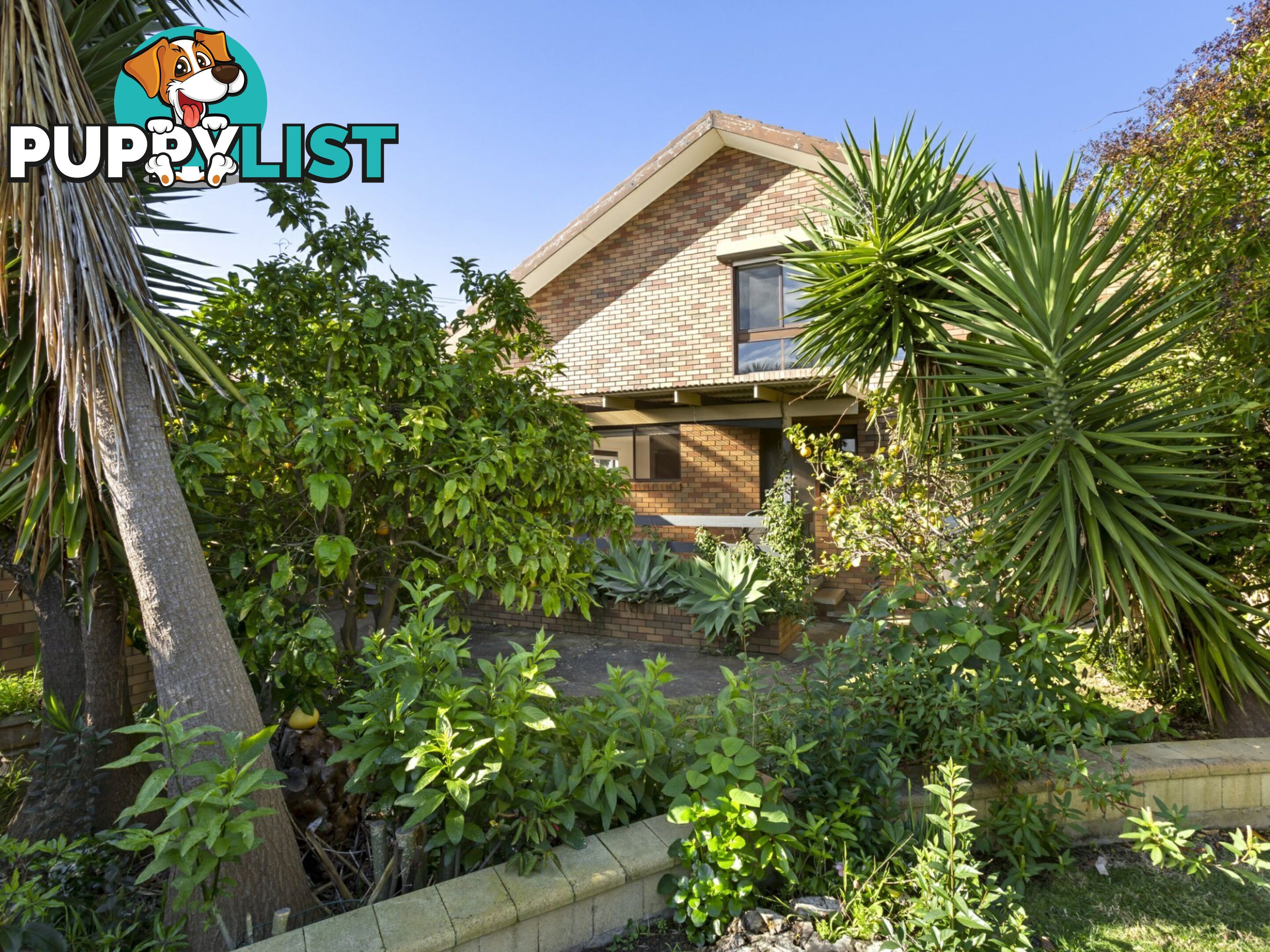 24 Horne Avenue ST LEONARDS VIC 3223