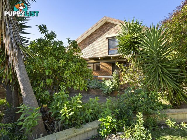 24 Horne Avenue ST LEONARDS VIC 3223