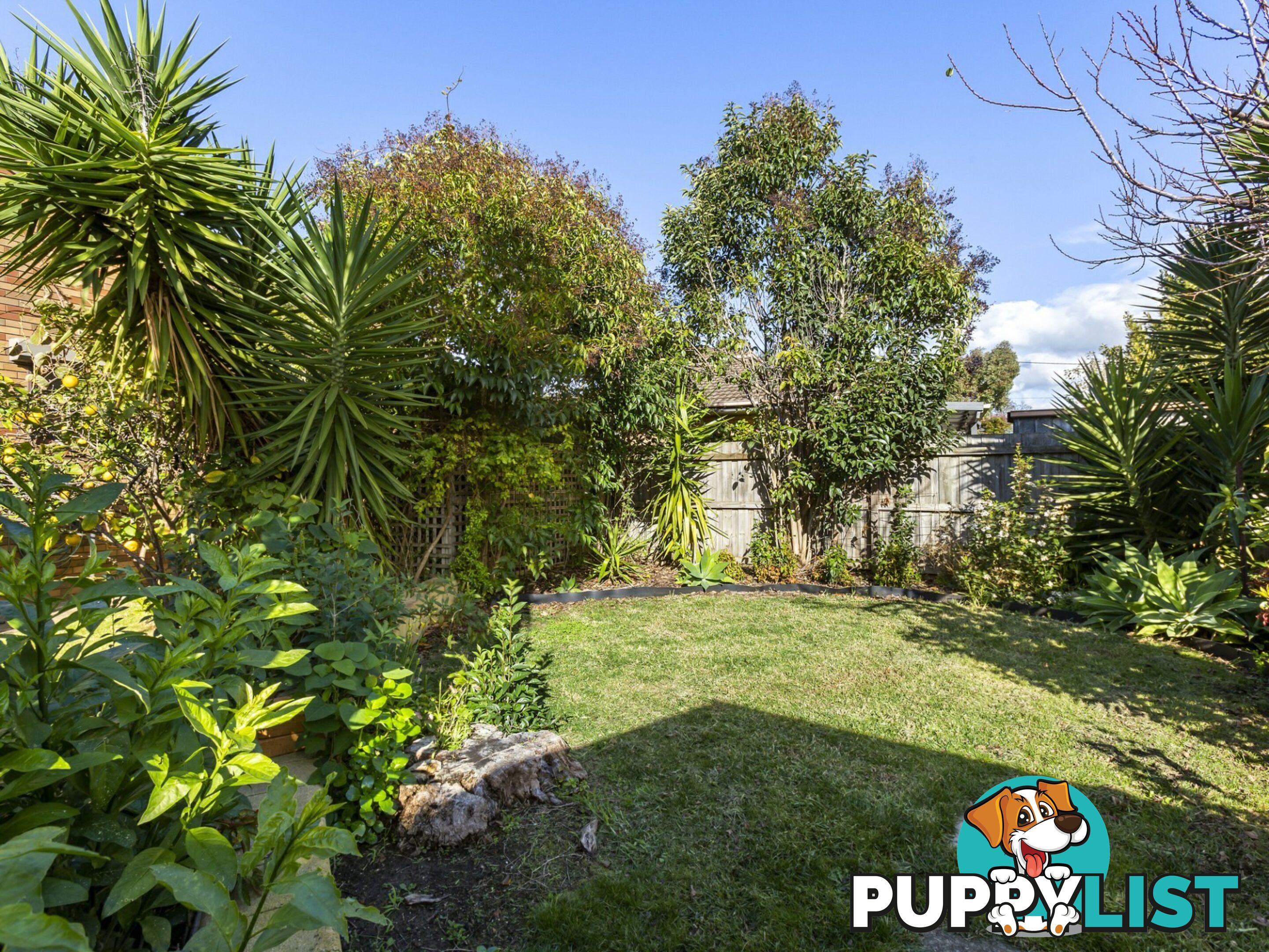 24 Horne Avenue ST LEONARDS VIC 3223