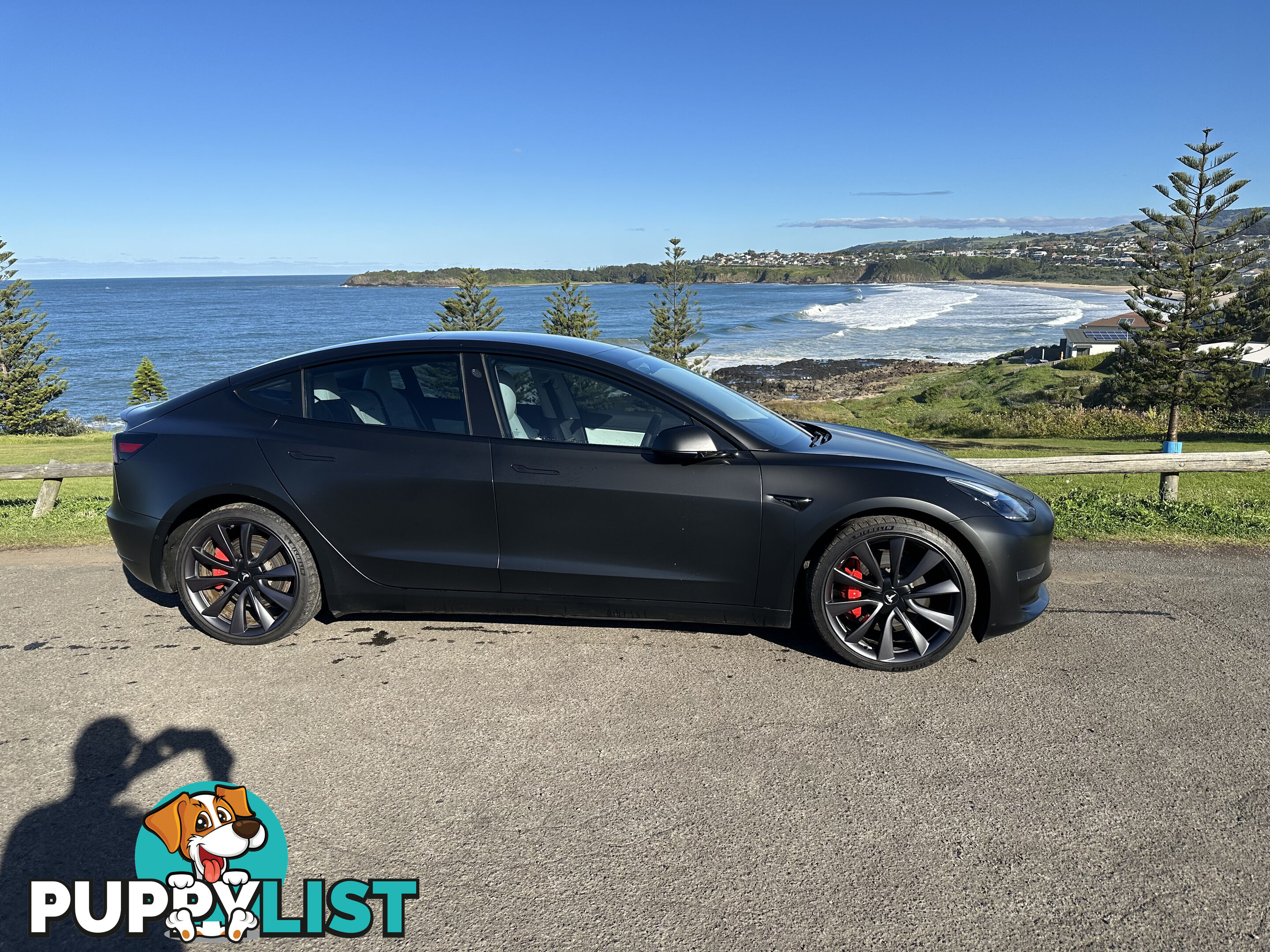 2019 Tesla Model 3 AWD PERFORMANCE Sedan Automatic