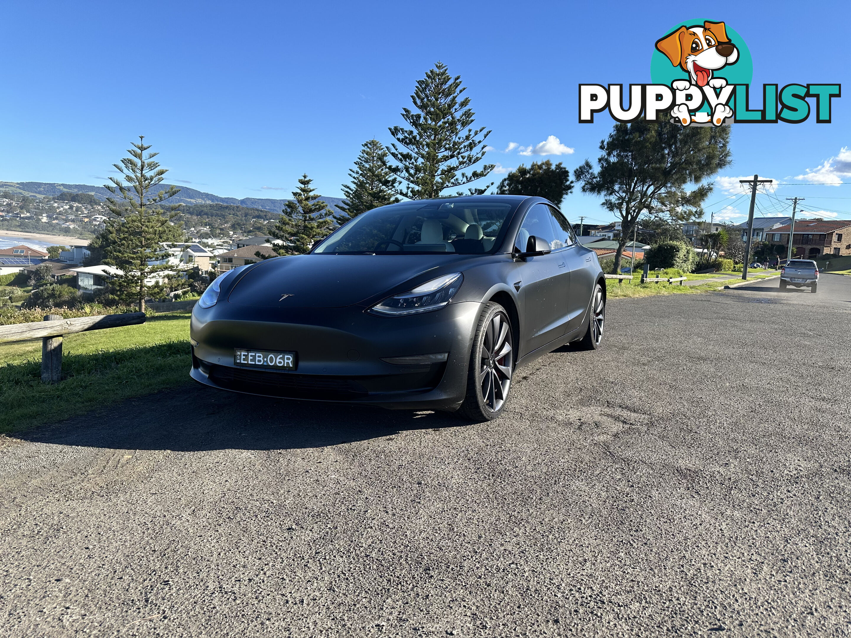 2019 Tesla Model 3 AWD PERFORMANCE Sedan Automatic