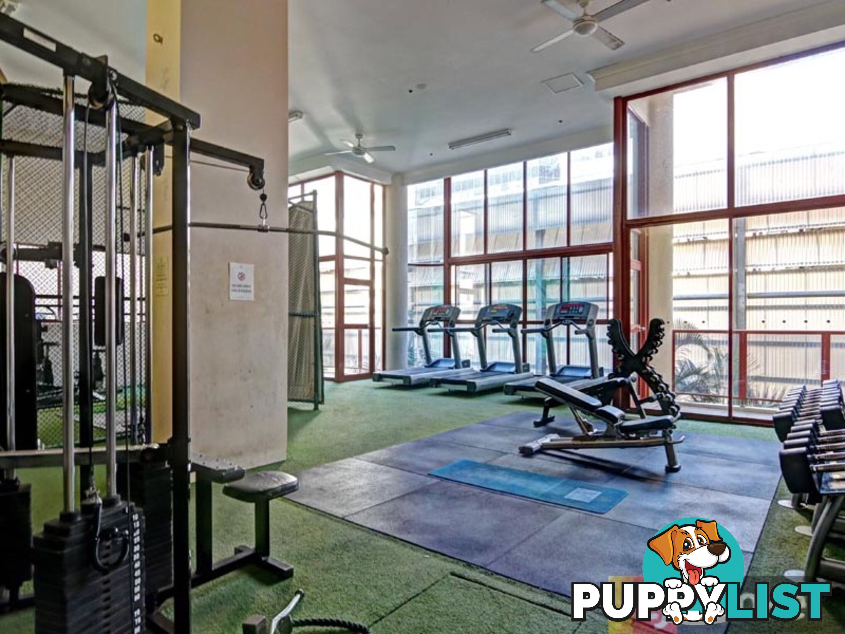 67/308 Pitt Street SYDNEY NSW 2000