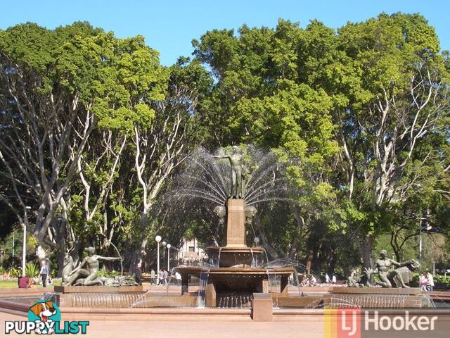 67/308 Pitt Street SYDNEY NSW 2000