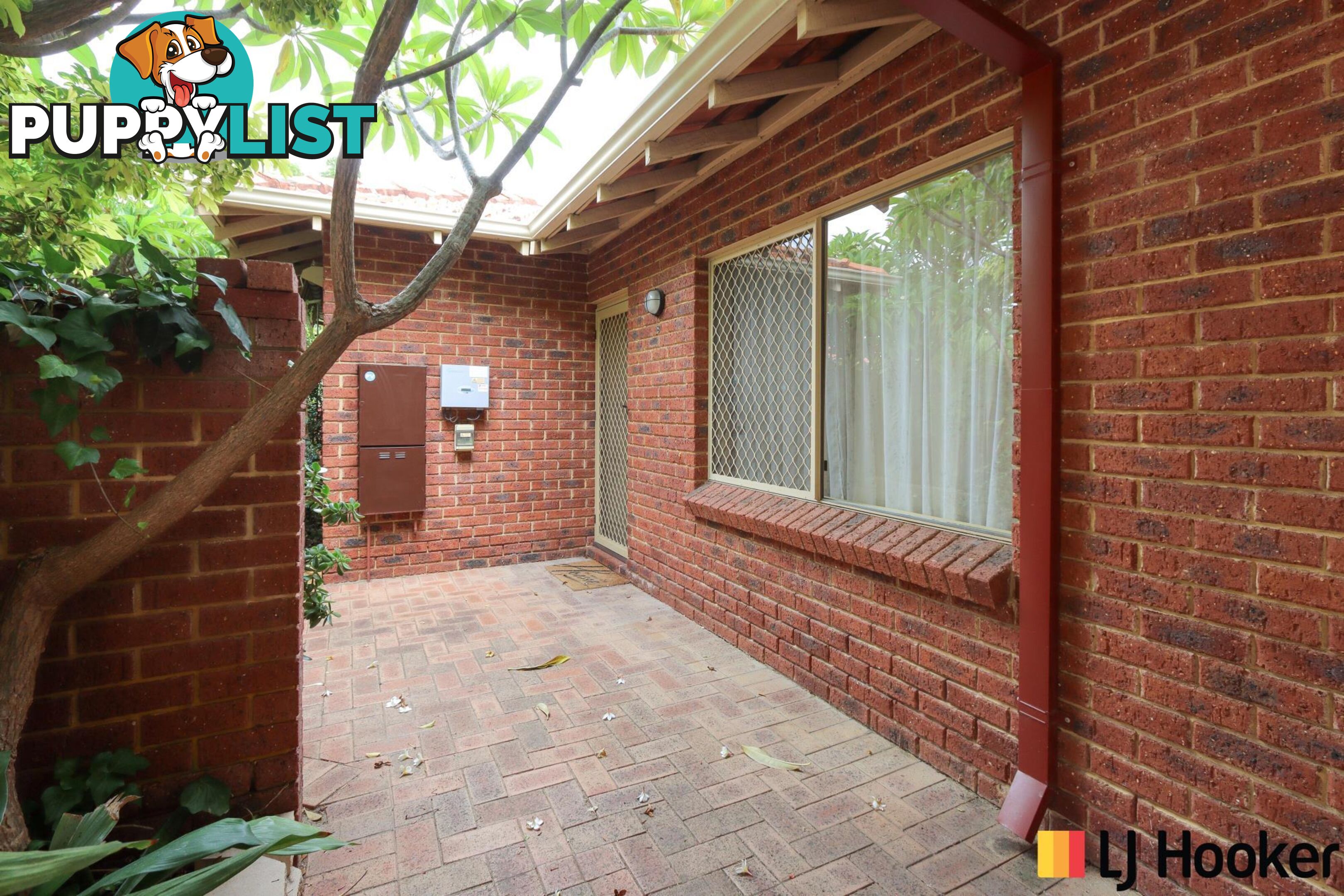 8/19 Albert Street NORTH PERTH WA 6006