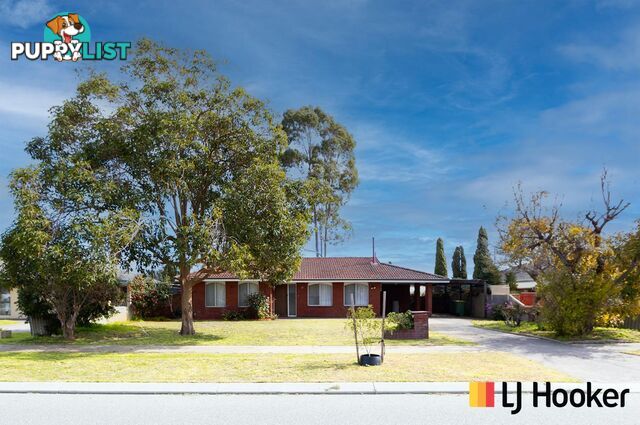 17 Elvington Way THORNLIE WA 6108