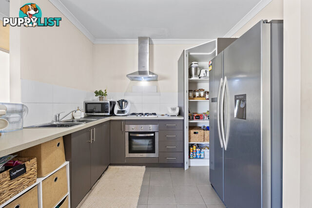 173B Swansea Street EAST VICTORIA PARK WA 6101