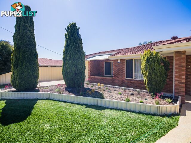 55 Ningaloo Way THORNLIE WA 6108