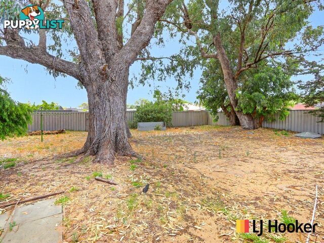 84 Unnaro Street HILLMAN WA 6168