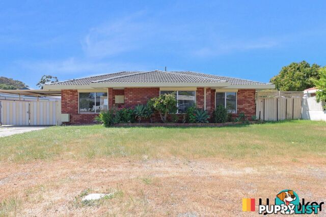 17 Leumeah Street ARMADALE WA 6112