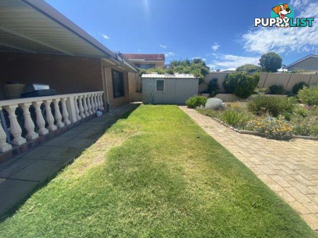 8 Scroop Way SPEARWOOD WA 6163