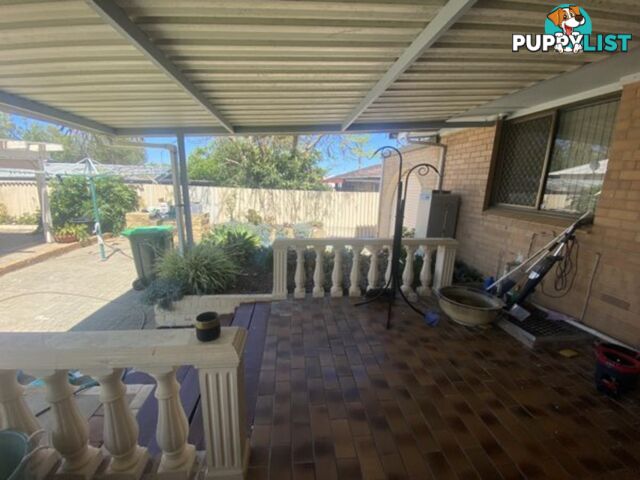 8 Scroop Way SPEARWOOD WA 6163