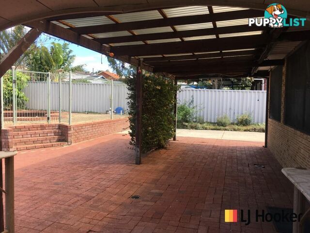 41 Montague Way COOLBELLUP WA 6163