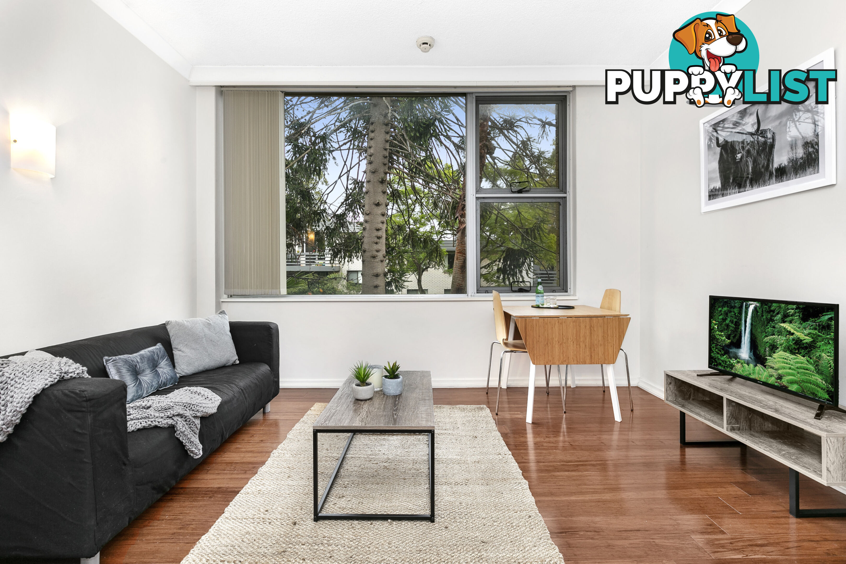 37/450 Pacific Highway LANE COVE NORTH NSW 2066