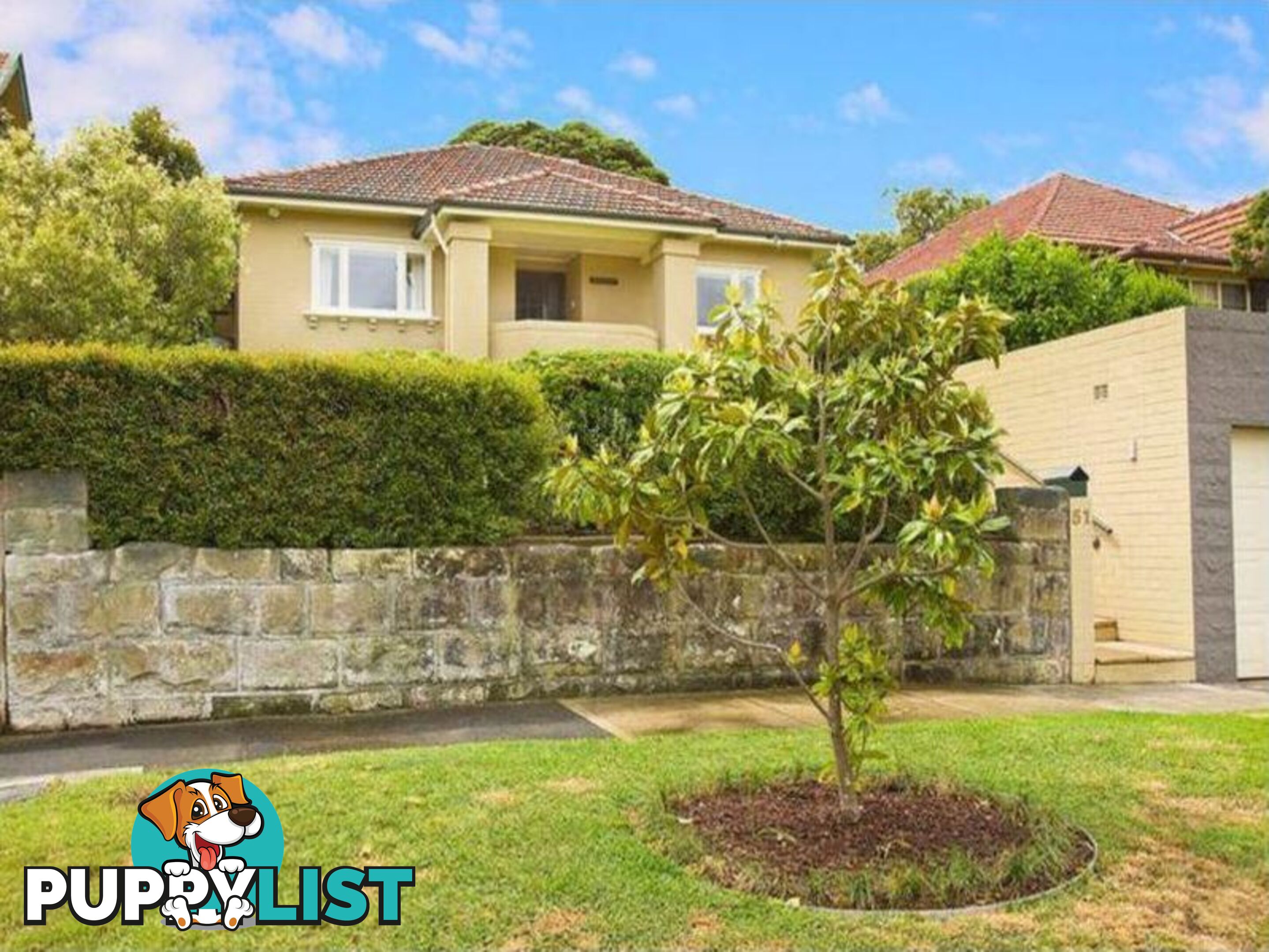 51 Stafford Road ARTARMON NSW 2064