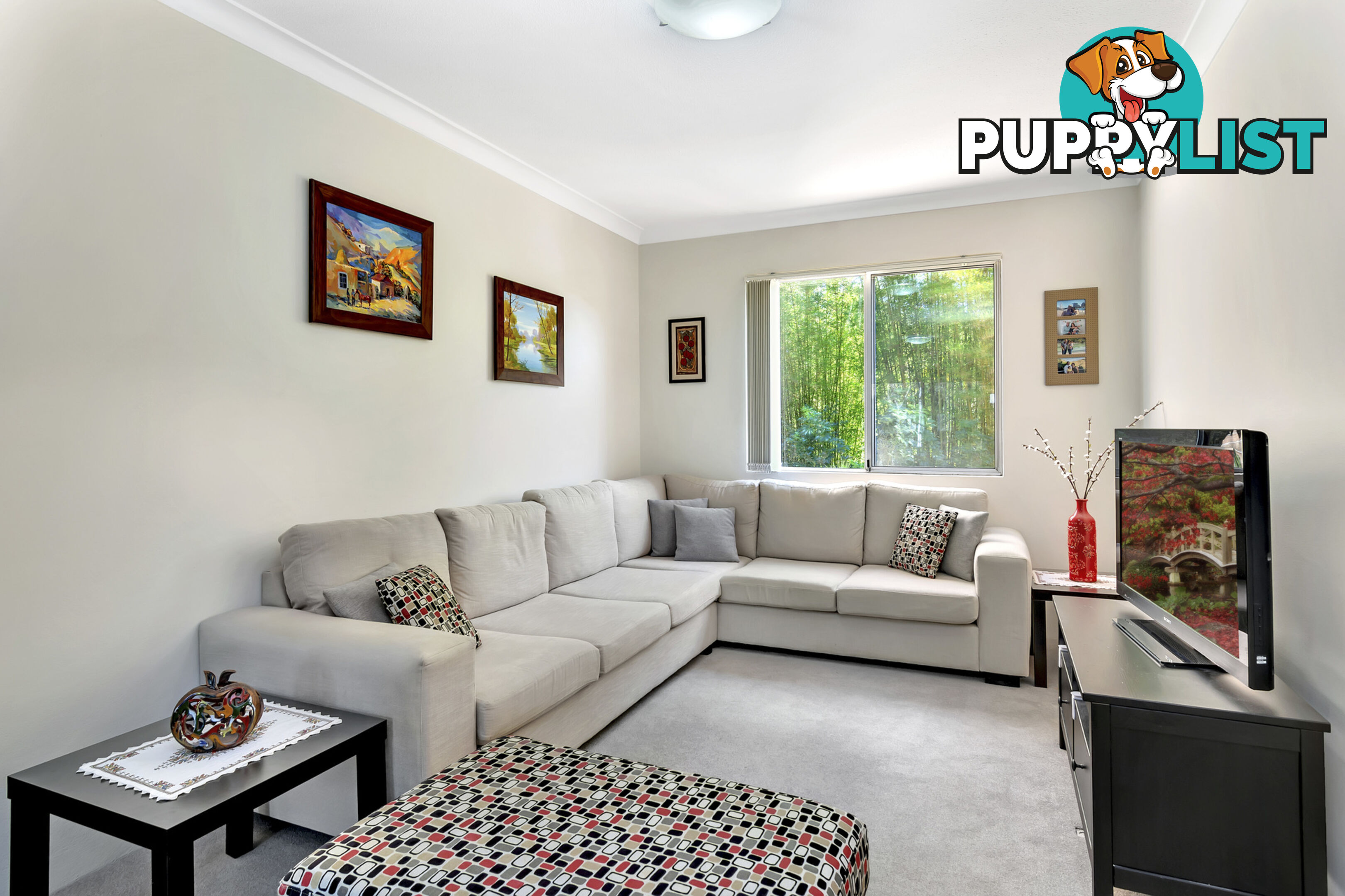 12/156 Penshurst Street WILLOUGHBY NSW 2068