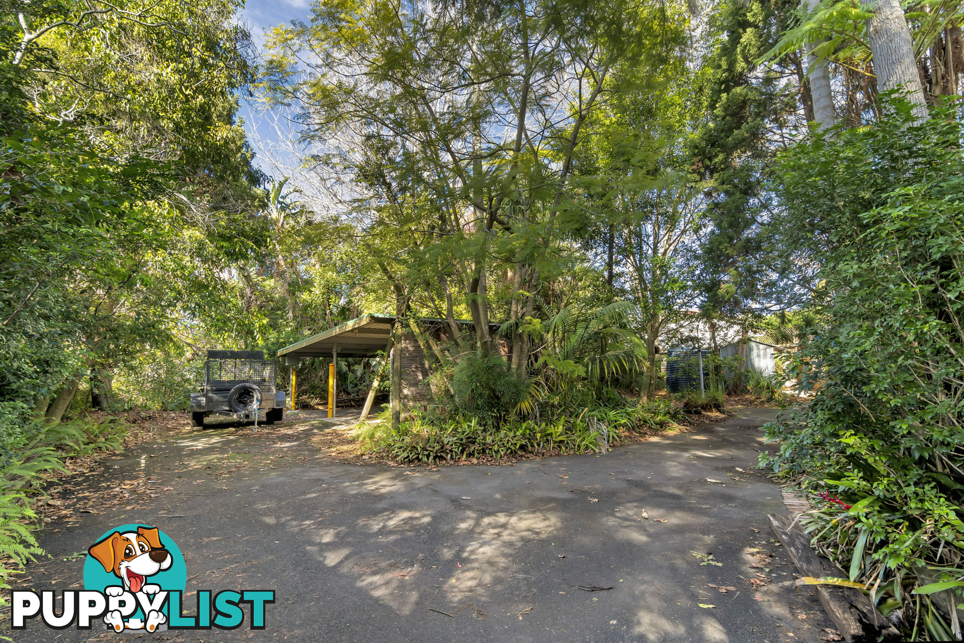 681 Warringah Road FORESTVILLE NSW 2087