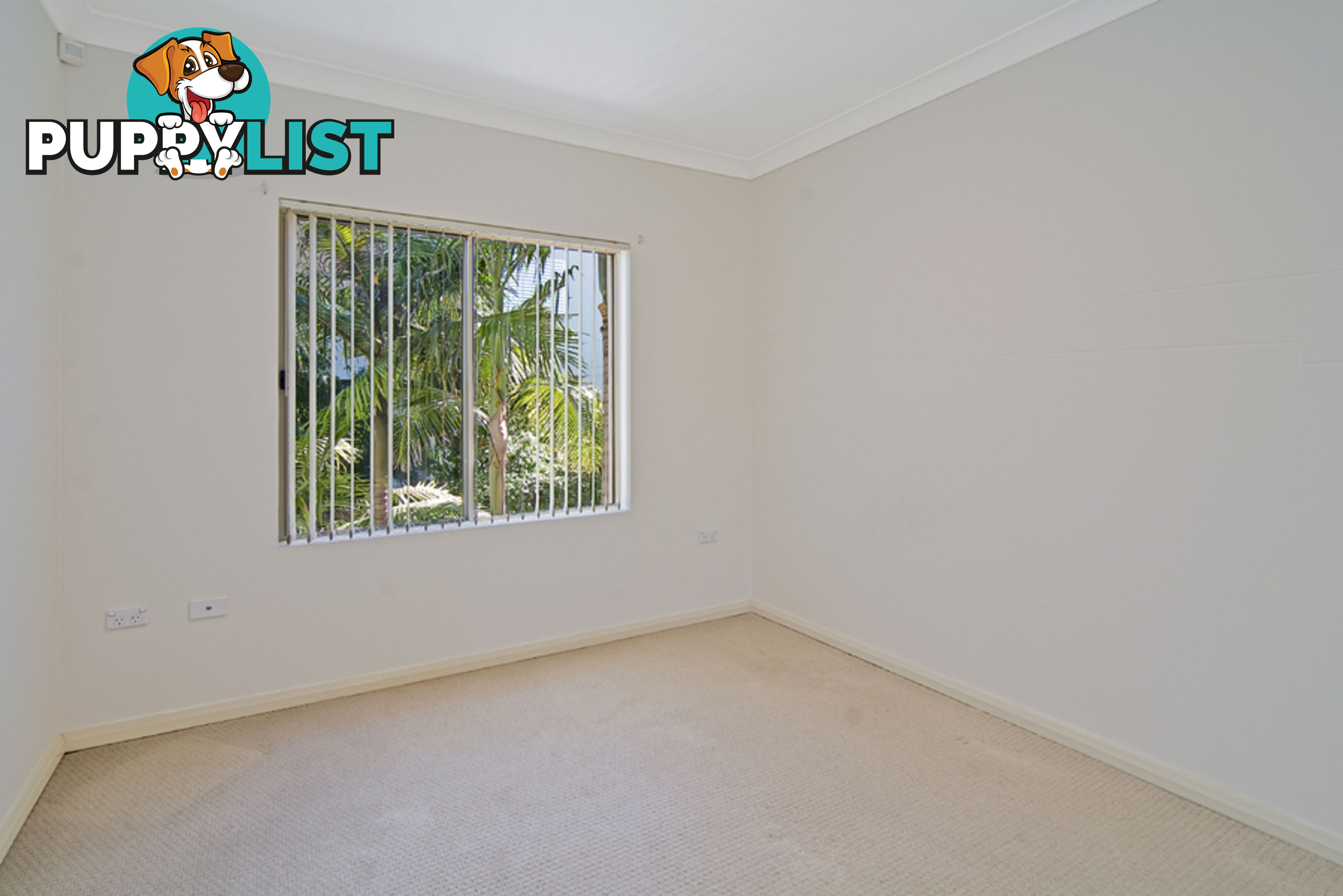 15/3-5 Shackel Avenue BROOKVALE NSW 2100