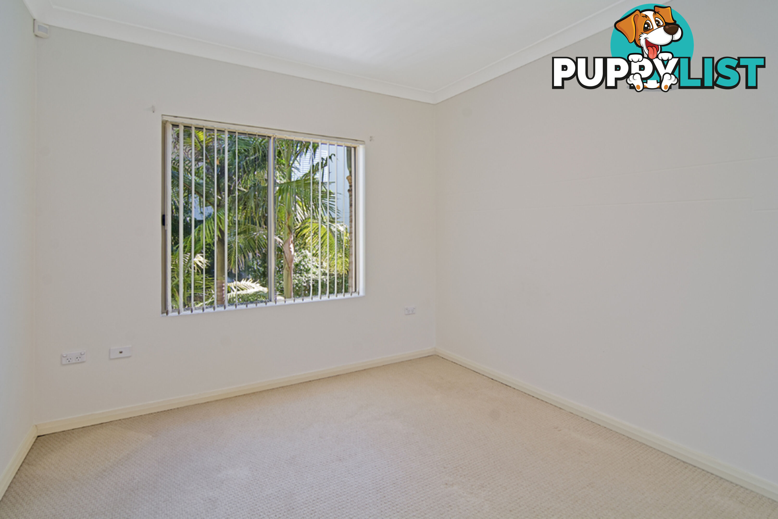 15/3-5 Shackel Avenue BROOKVALE NSW 2100