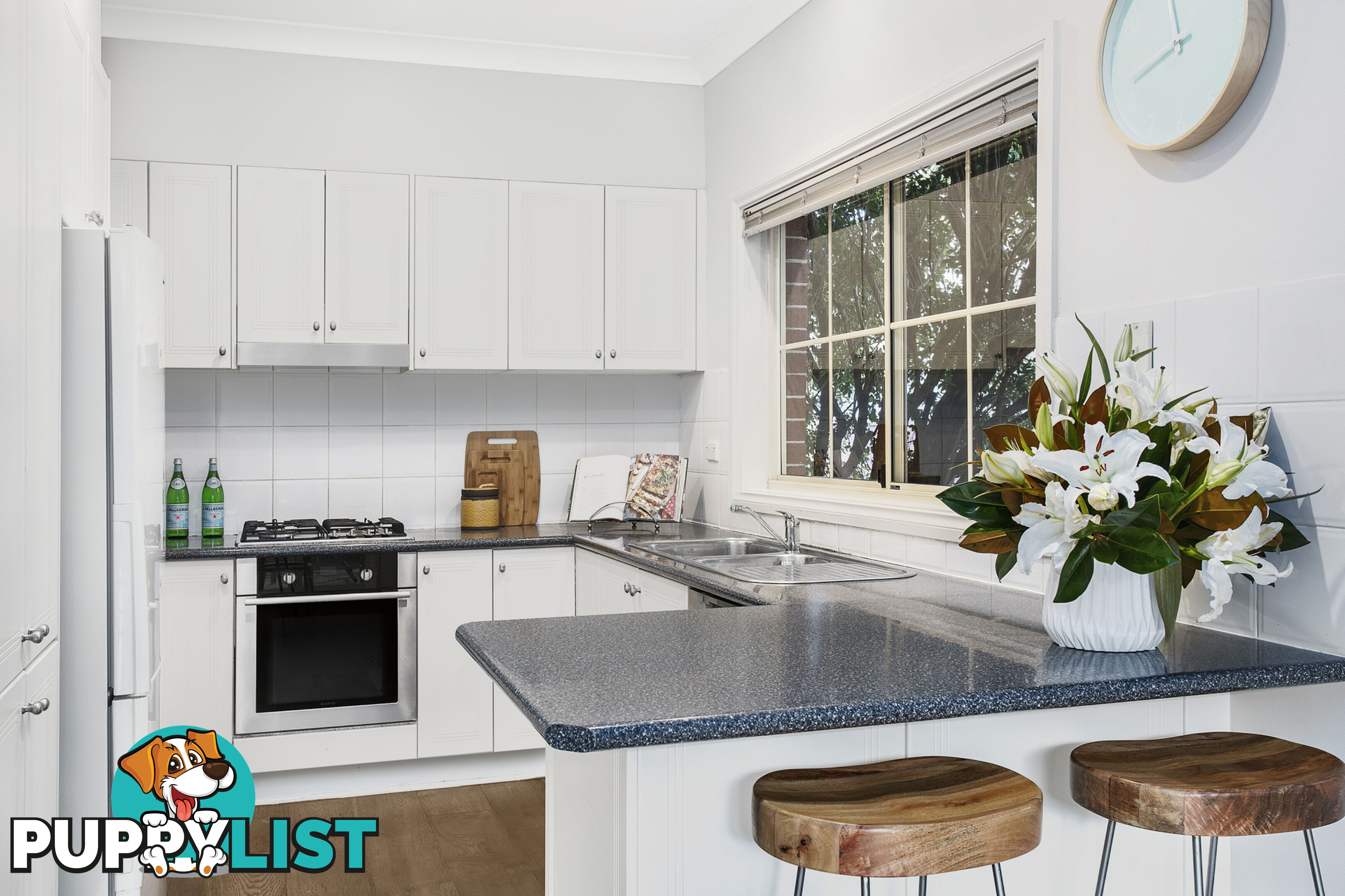 17 Elliott Lane WILLOUGHBY NSW 2068