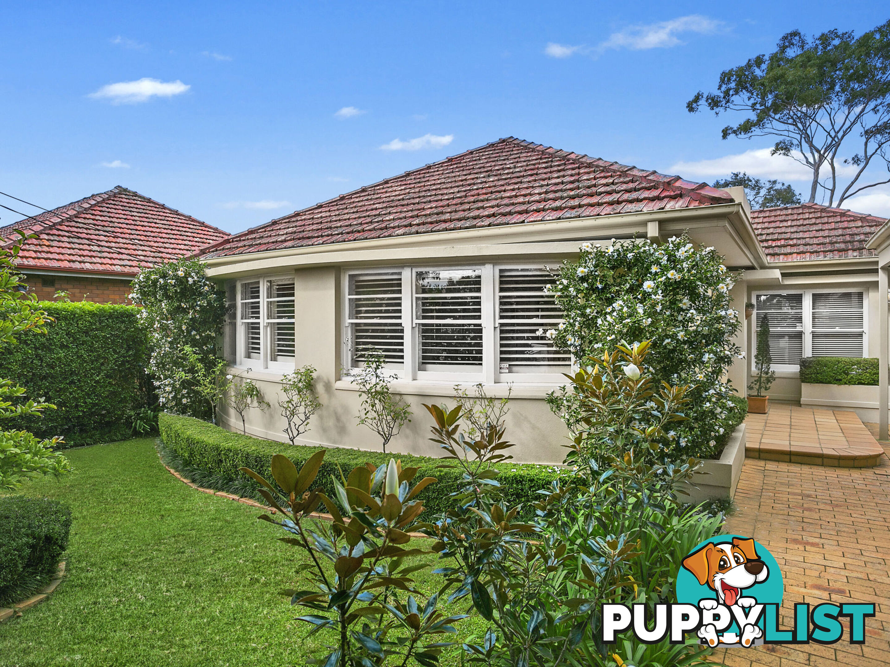 54 Edinburgh Road WILLOUGHBY NSW 2068