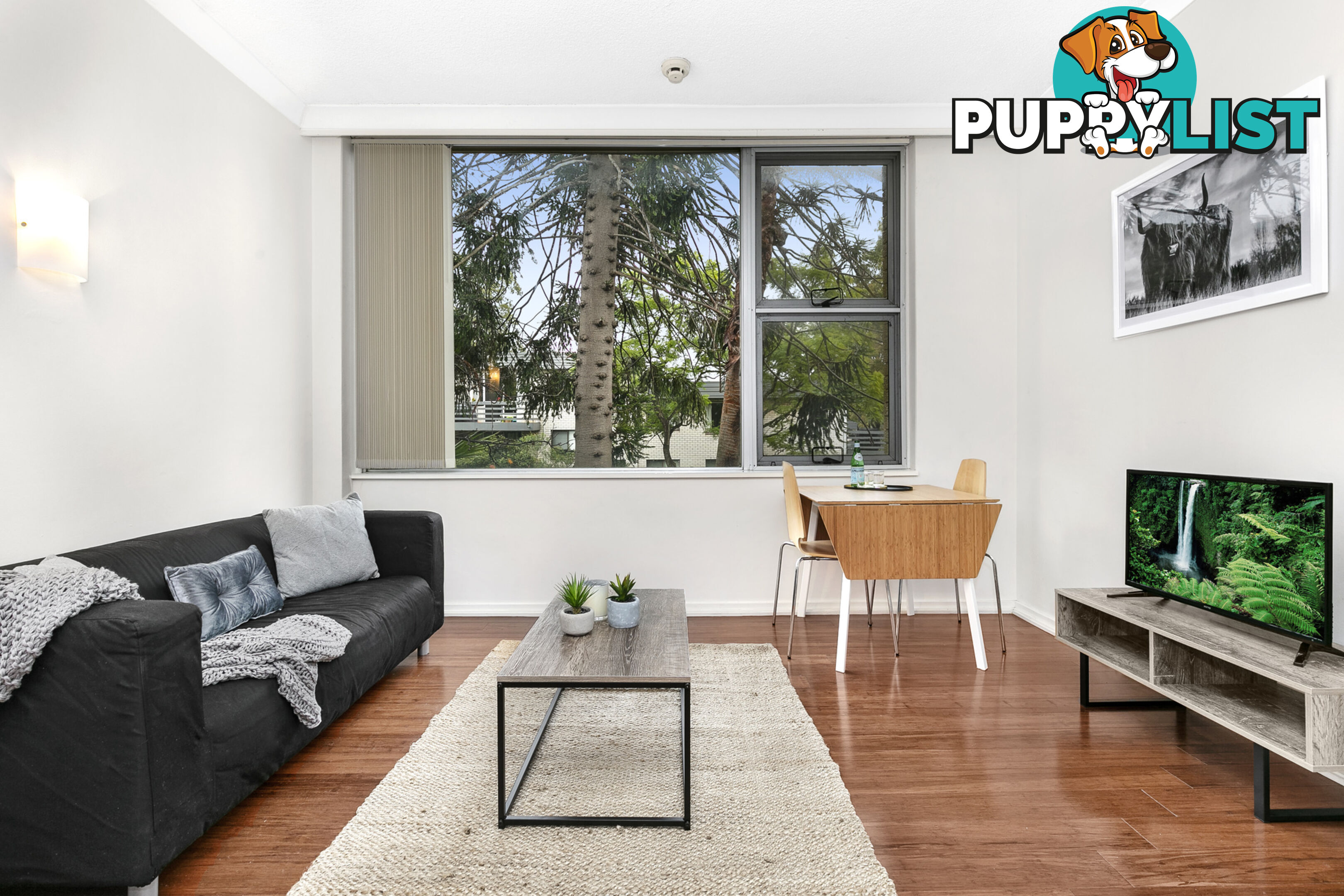 37/450 Pacific Highway LANE COVE NORTH NSW 2066