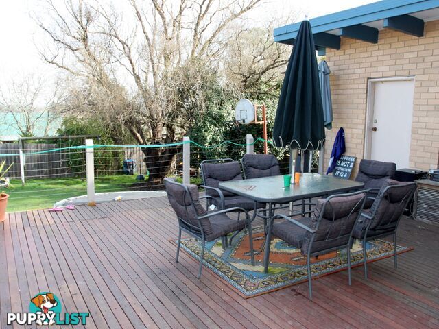 16 Villeneuve Street ALEXANDRA VIC 3714