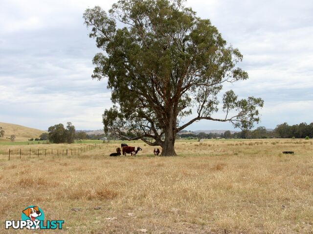 6695 Maroondah Highway YARCK VIC 3719