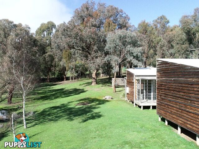 111 Alford Avenue EILDON VIC 3713