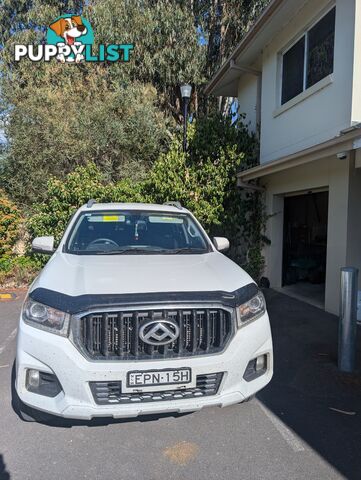 2021 LDV T60 Pro Ute Automatic