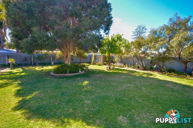 4 Mitchell Street LEETON NSW 2705