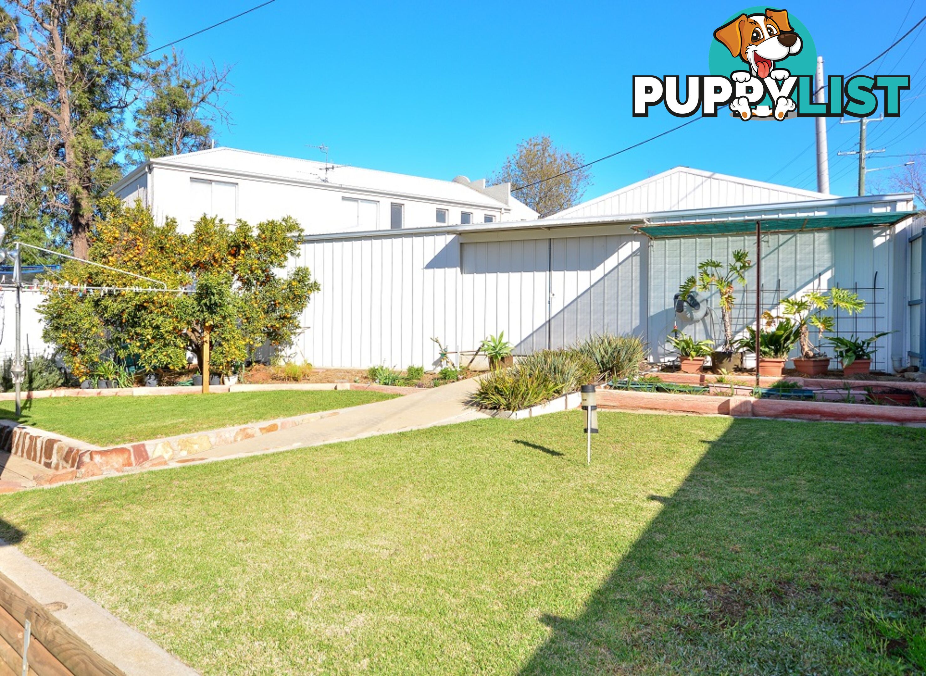 37 Wandoo Street LEETON NSW 2705