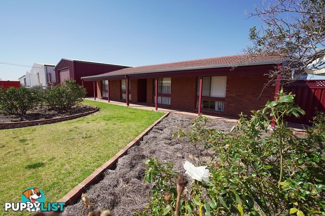 8 Ridley Avenue LEETON NSW 2705