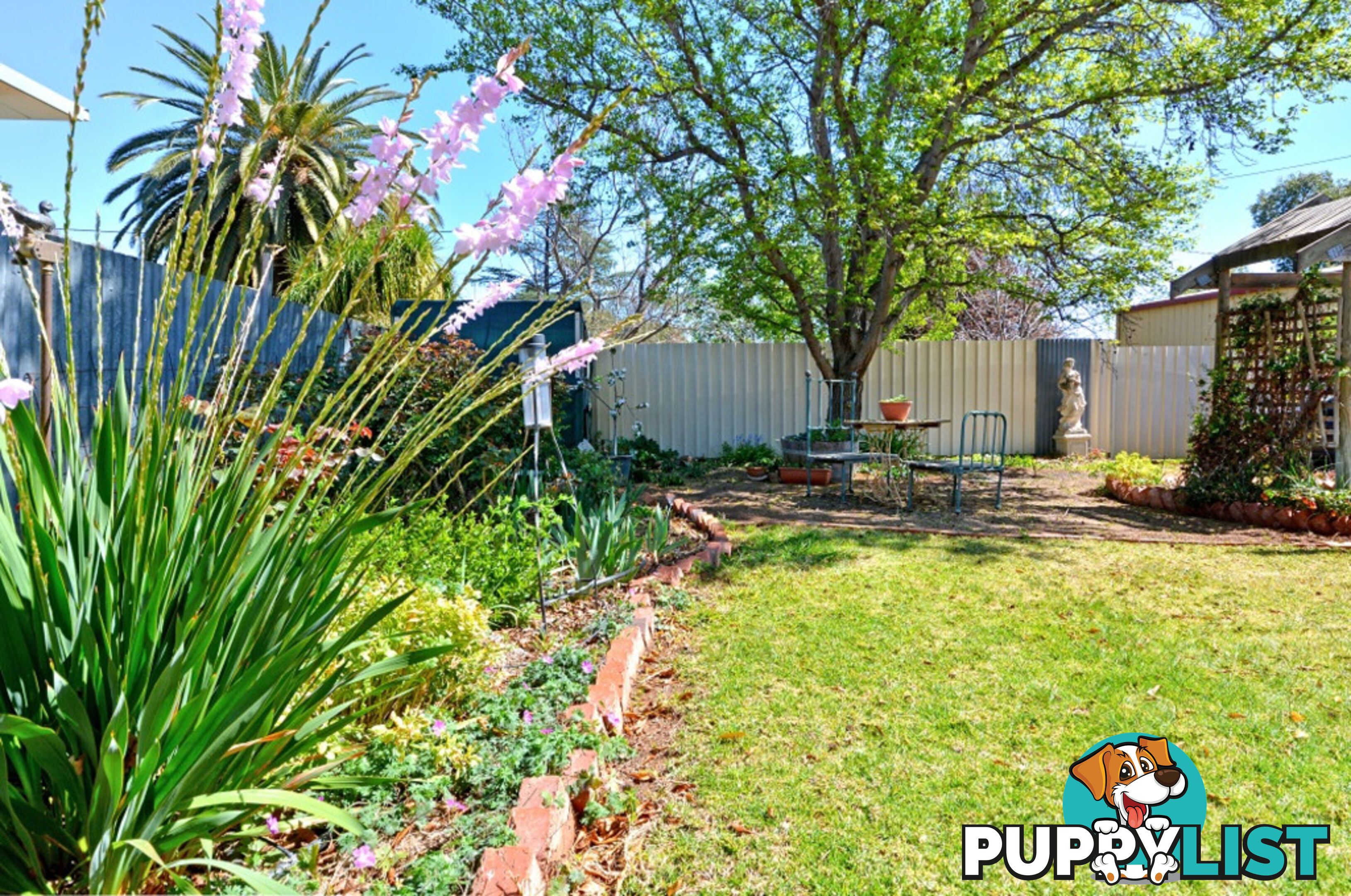 11 Cedar Street LEETON NSW 2705