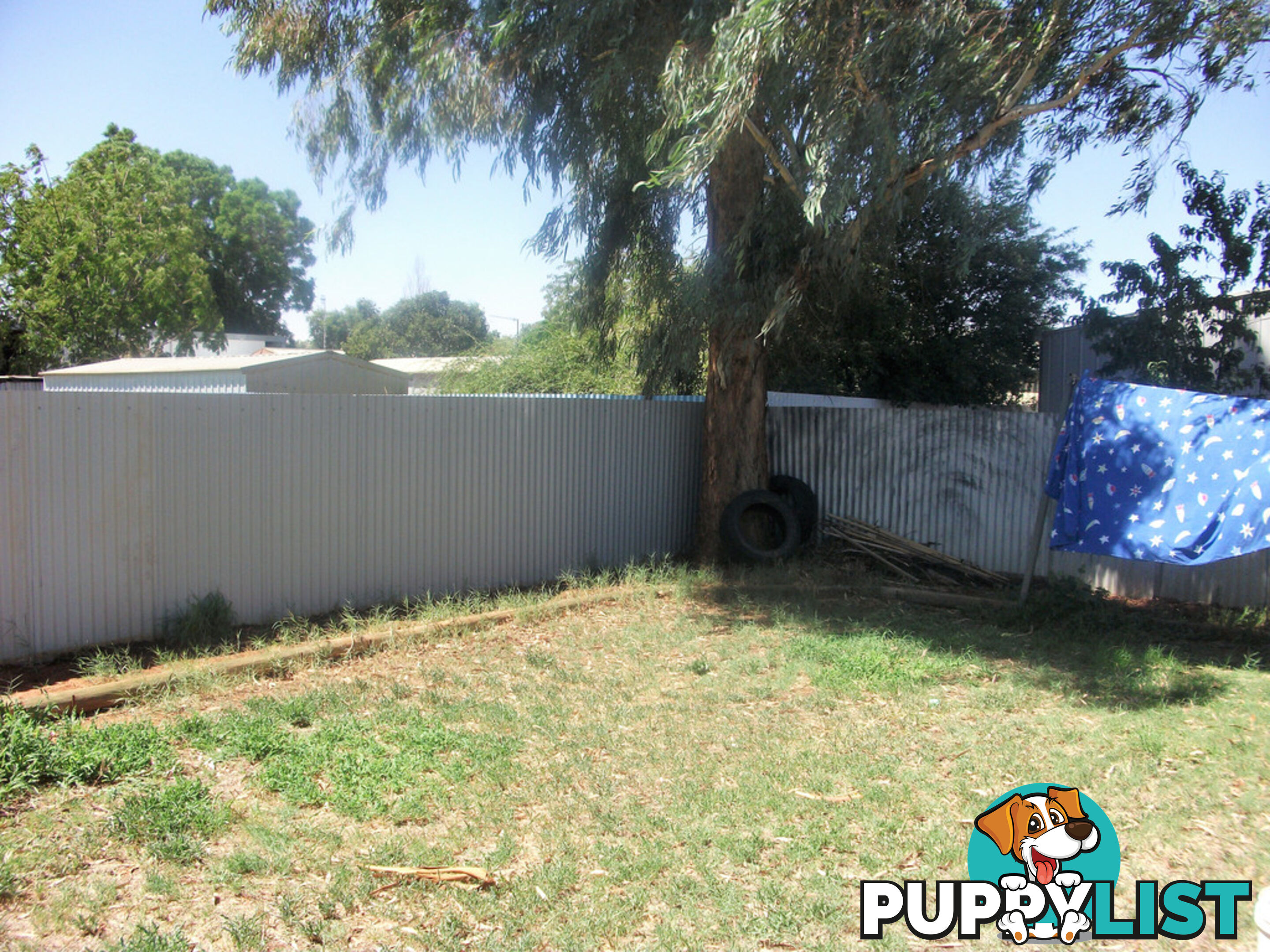 84 Molesworth Street HILLSTON NSW 2675