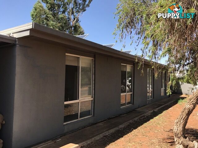 84 Molesworth Street HILLSTON NSW 2675