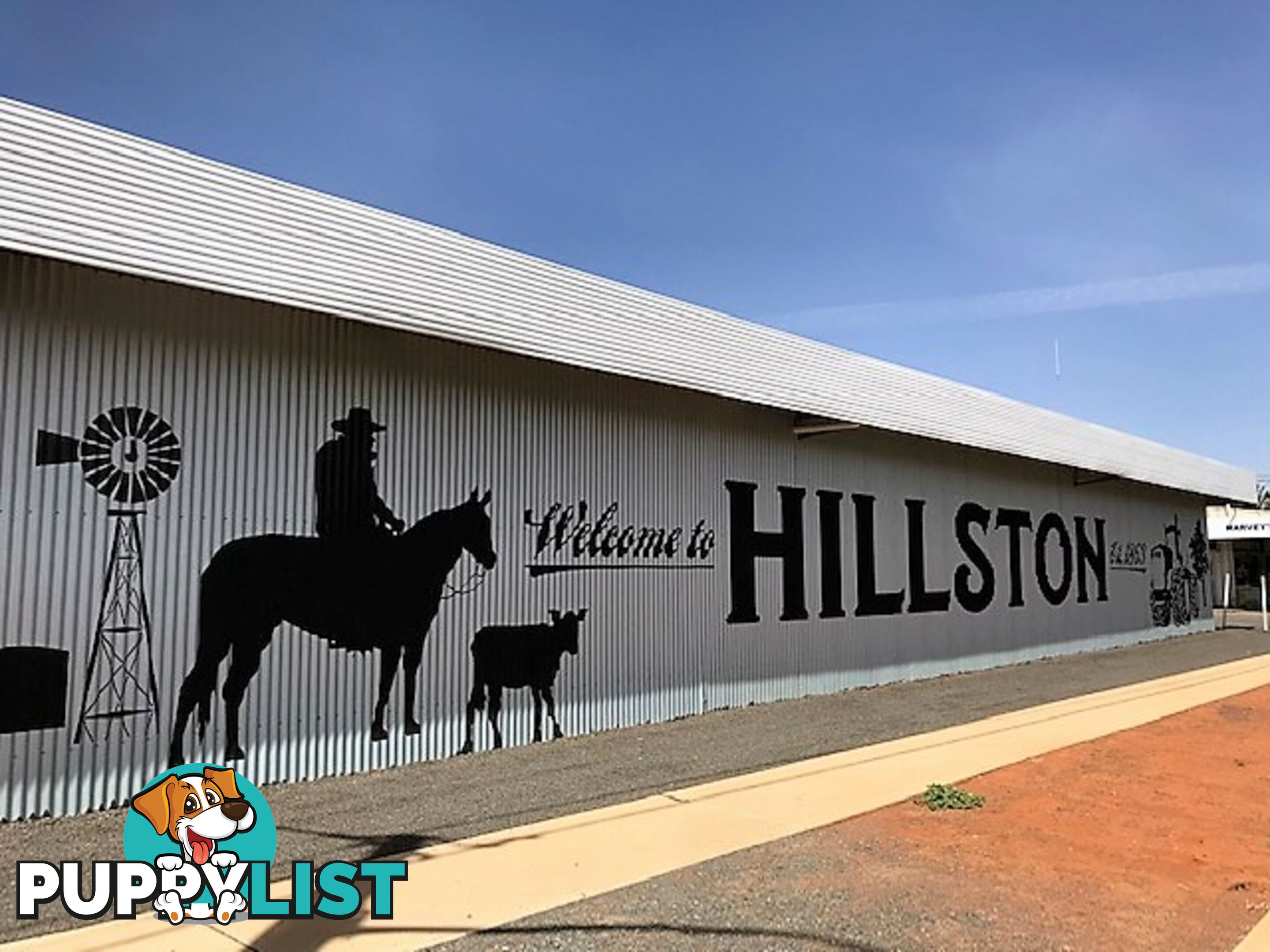 84 Molesworth Street HILLSTON NSW 2675