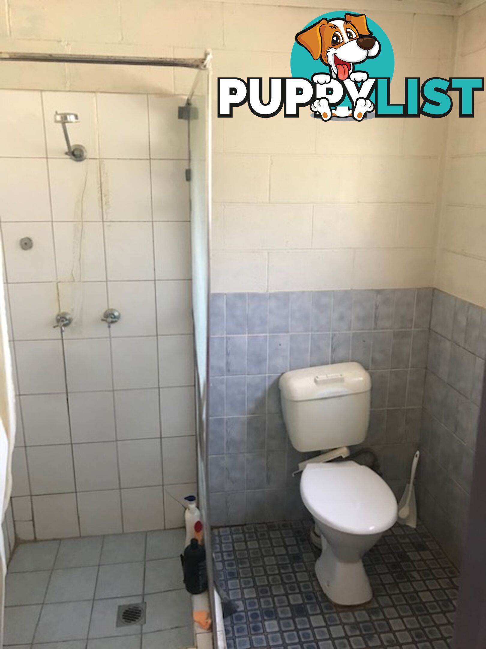 84 Molesworth Street HILLSTON NSW 2675