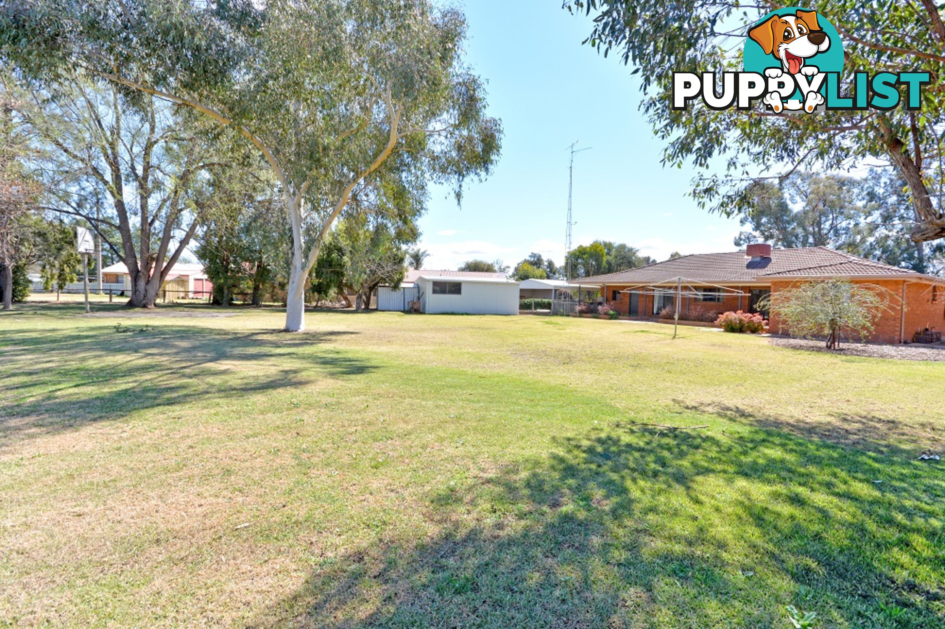 11 Tecoma Street LEETON NSW 2705