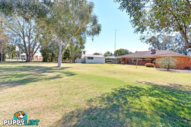 11 Tecoma Street LEETON NSW 2705