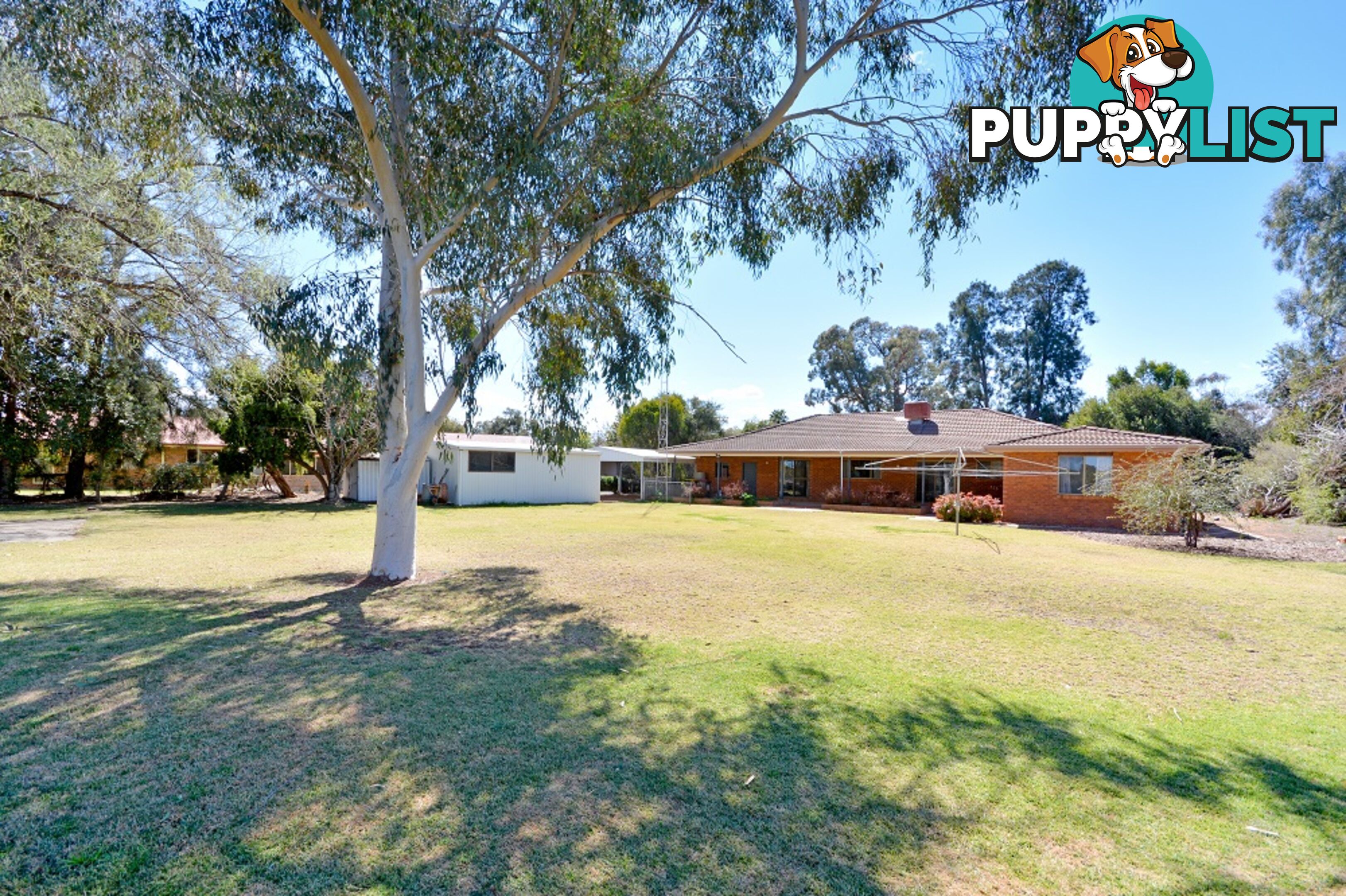 11 Tecoma Street LEETON NSW 2705