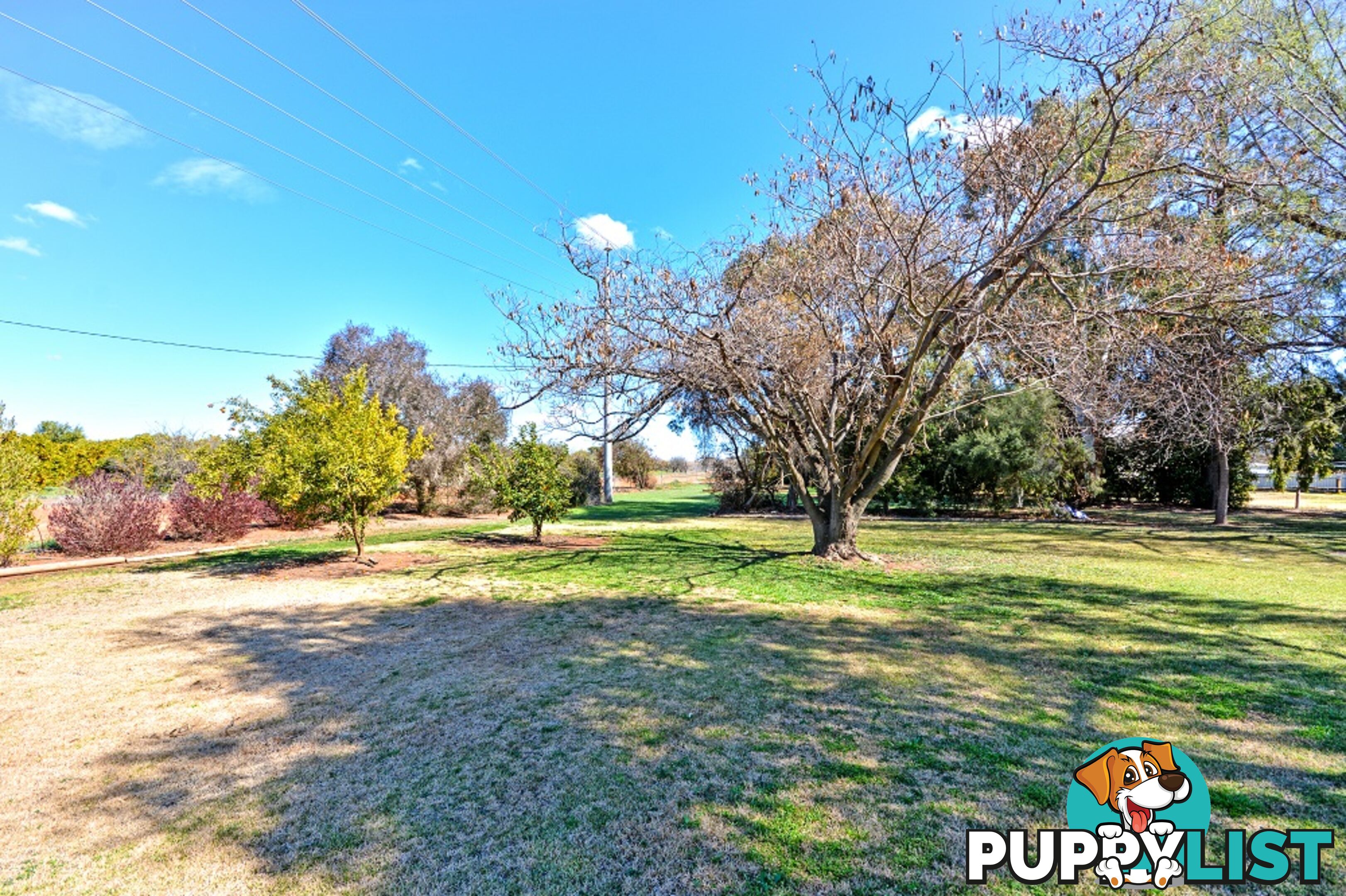 11 Tecoma Street LEETON NSW 2705