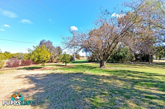 11 Tecoma Street LEETON NSW 2705