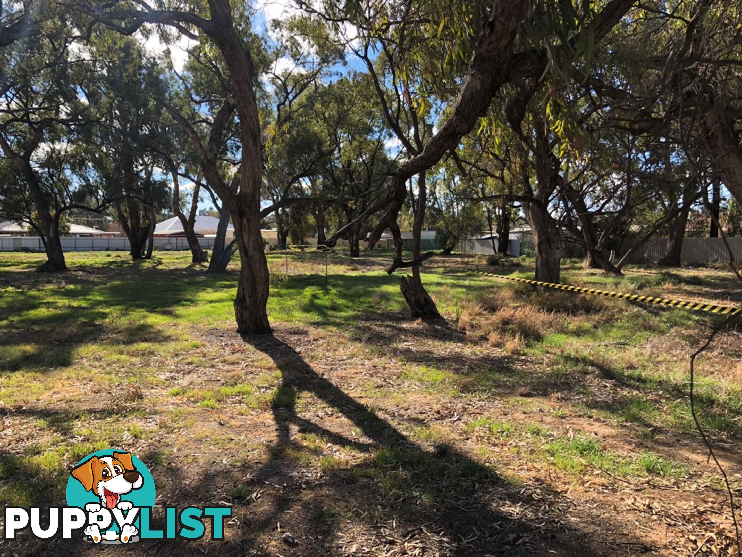 14 Brooks Crescent DARLINGTON POINT NSW 2706